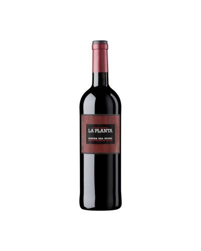 La Planta Ribera Del Duero Vino