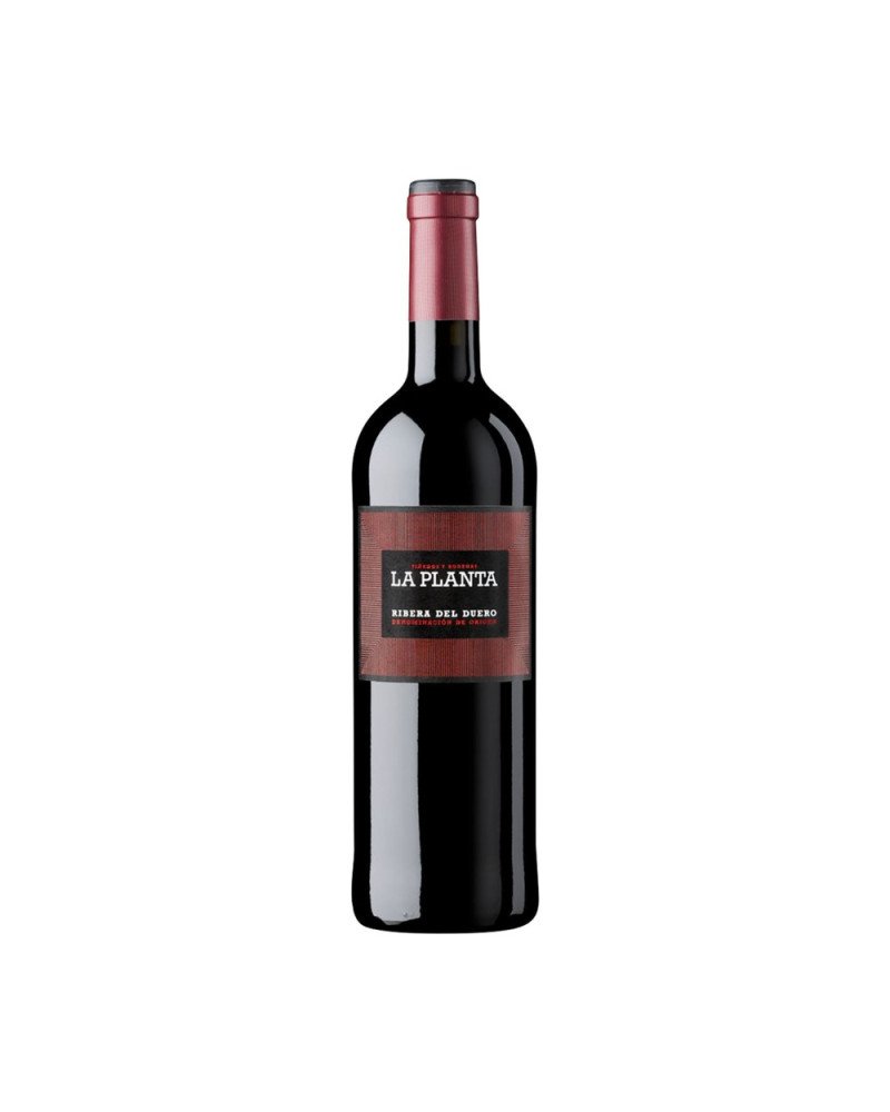 La Planta Ribera Del Duero Vino