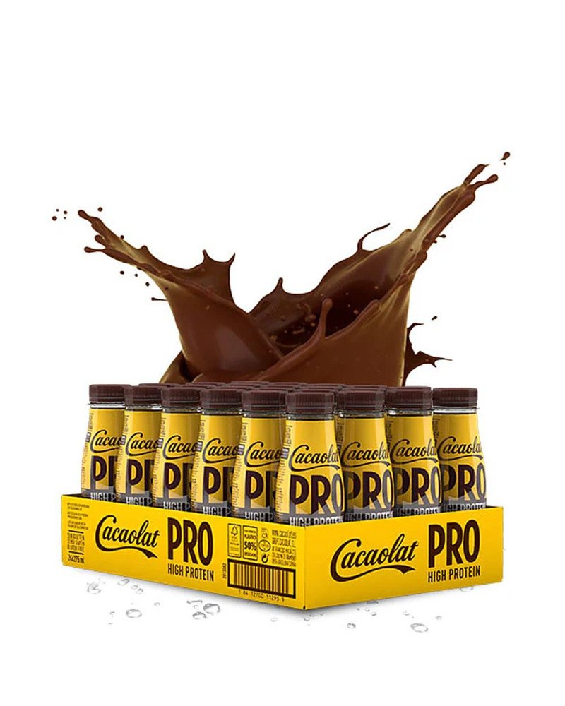 Cacaolat Lata 275ml, Pack de 24