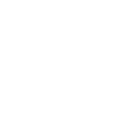 BlueCity Bodega